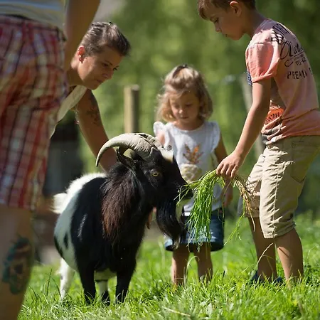 伊灵格霍夫膳食公寓 蒙德湖