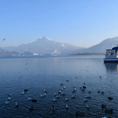 Gasthuis Irlingerhof Mondsee