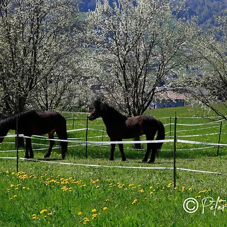 Irlingerhof Pensionat 3*