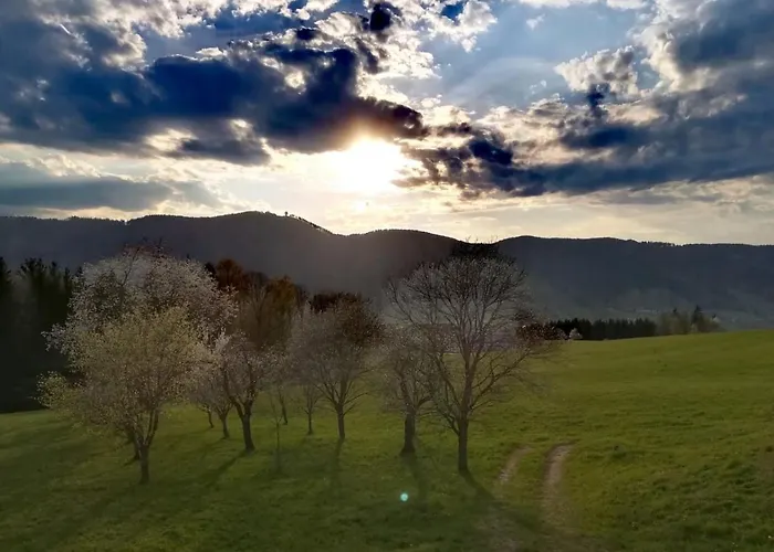 Irlingerhof Guest house Mondsee