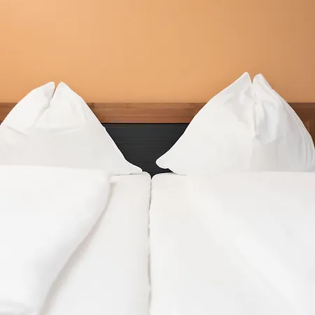 بنسيون إيرلينغرهوف بيت ضيافة 3*