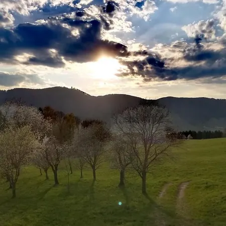 Irlingerhof Gæstehus Mondsee